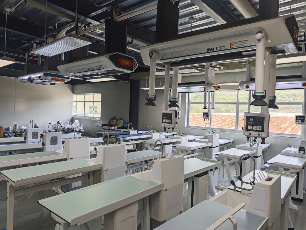 專業定制，品質保證：量身打造最適合您的理化生智能吊裝實驗室