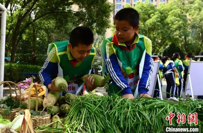 資料圖：2020年9月25日，蘭州市紅山根小學“心根農莊”里上演了一場特別的豐收節會?！〈蘖铡z